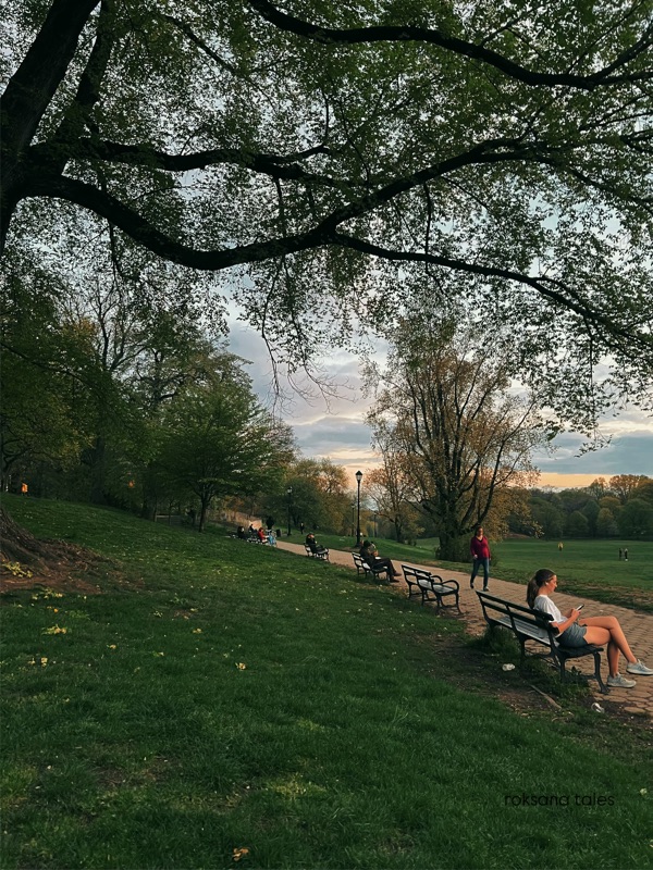 Stories Along the&nbsp;Path